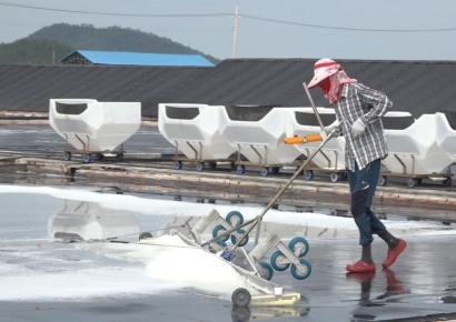 '염전노예 착취' 가해자, 군의원 승승장구…피해자들은 염전으로 돌아가기도