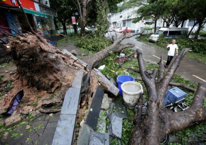 中 광둥성 태풍 '망쿳'으로 4명 사망