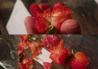 호주發 ‘바늘 딸기’에 전 세계 확산되는 묻지마 테러 공포