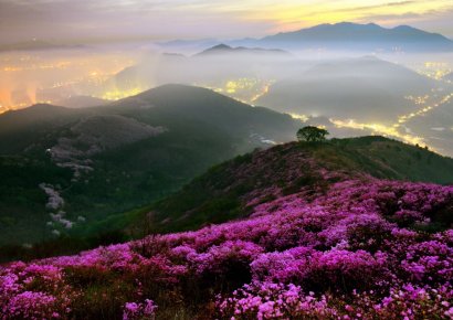 ‘주말 꽃구경, 나는 여수로 간다’…영취산 진달래 축제