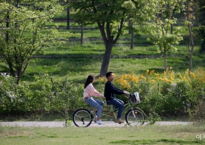 "연애는 고픈데 돈 없고 기 빨려"…'비용 댈 테니 제발 만나라' 등 떠미는 군청[혜택의 정석]