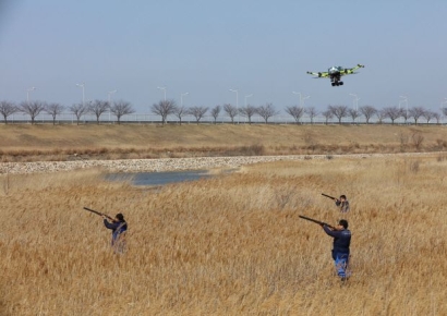 '가장 위험한 새' 우르르 몰려들자…전국에 경계령 내린 일본