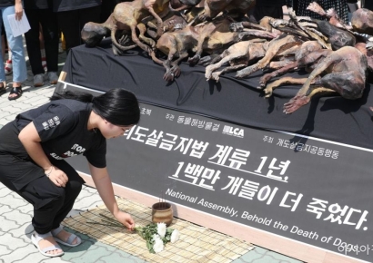 홍콩서 개고기 판 베트남인 3명 실형…한국도 2027년부터 '처벌'
