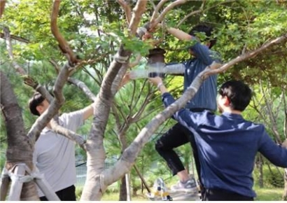 "쏘이면 1시간 이내 사망 이를 수도"…긴 폭염에 급격히 늘어난 말벌 주의보