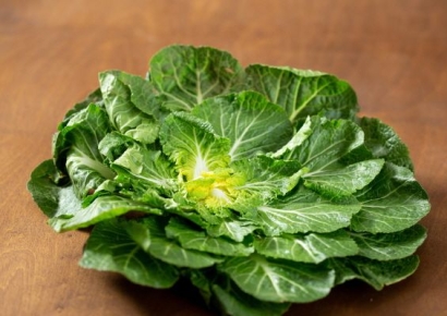 어쩐지 온통 양푼에 비비는 쇼츠만 뜨더라니…두쫀쿠 다음은 '봄동', 가격도 들썩