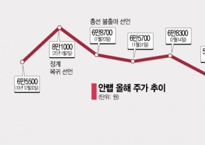 '실적'보다 '인기'에 급등락…정치테마주 명암