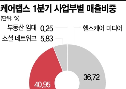 케어랩스, '굿닥' 덕에 반짝 강세… 성장은 '의문'