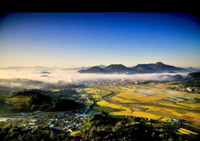 "기업 非업무용 토지 보유 부담" 언급에 '토지초과이득세' 다시 주목