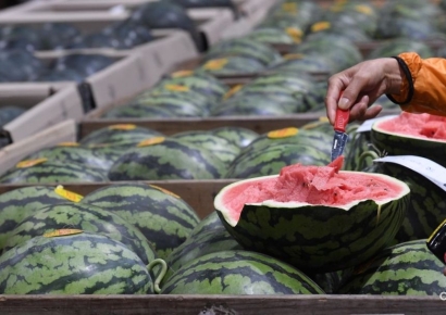 생과일 아니고 착즙원액?…커피전문점 수박주스 대해부[맛잘알X파일]