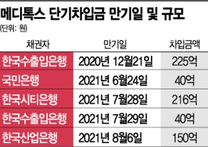 겹악재 주름 깊은 '메디톡스'