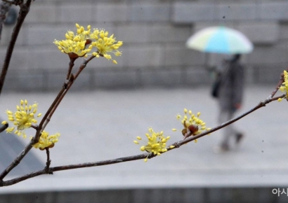 [내일날씨]전국에 새벽 비…하루종일 대체로 흐림