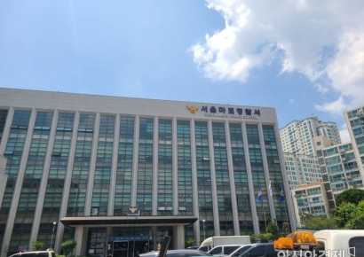 '행인 폭행' 래퍼 산이, 특수폭행 혐의로 입건