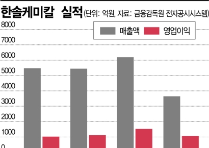 삼성이 뿌린 투자씨앗, 반도체 밸류체인 성장회로 켠다