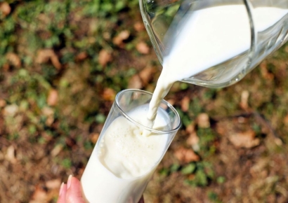 "비린내만 빼면 우유랑 똑같아"…젖소 부족으로 등장한 '물고기 우유'