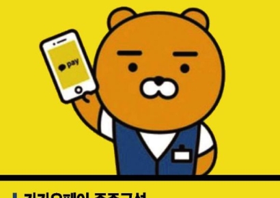 [단독]카카오페이, 알리페이 지분 늑장신고…"상장시 제출" 거짓 해명