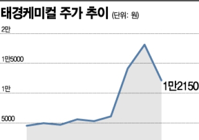 [종목속으로] 하반기 지지부진한 태경케미컬…배송시장 격변 노린다
