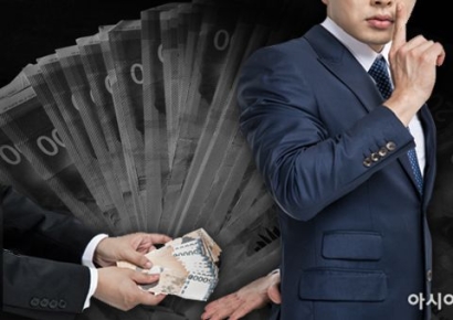 '명품옷 3억' 세금 덜 내려 경비처리한 연예인, 억대 추징금 맞았다