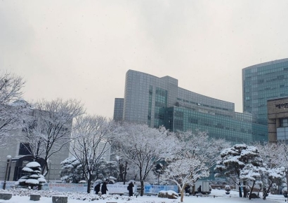 "부모가 약 먹였으면 안 죽었지" 교수 폭언에 대학원생 죽음…가족까지 극단선택