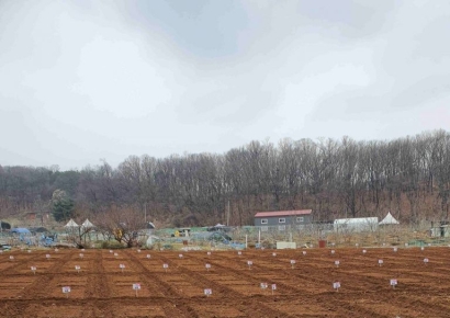 '절대농지' 규제 더 푼다…농업진흥지역에도 '주말농장용 농지' 소유 허용키로