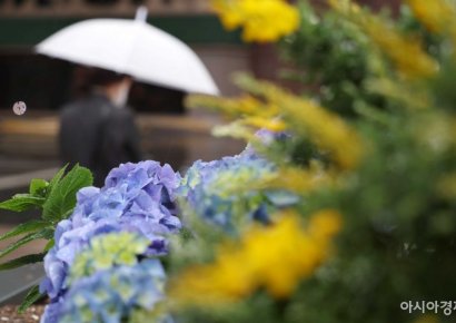 [날씨]15일 출근길 '우산' 챙기세요…전국에 비, 낮 최고 기온 21도