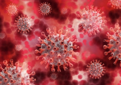 "코로나19, 중국 실험실 유출" 美 주장 반박하는 연구 나와