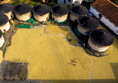 세계식량가격 0.9%↑…'곡물·유지류·육류' 오르고, '유제품·설탕' 내리고