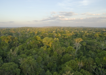 "입맞춤도 꺼리던 아마존 부족, 음란물 중독"…무슨 일이?