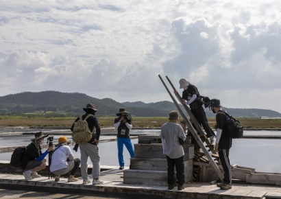 "장애인 강제노동 안돼" 미국, 한국 최대 염전 수입 금지