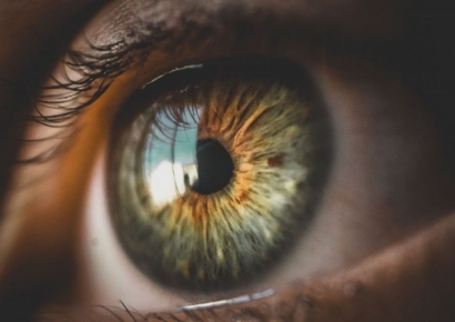 "살 빼는 주사맞다 실명할 수도"…하버드대 발표에 제약사들 '발칵'