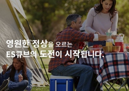 [지배구조]ES큐브, 한차례 실패 딛고 시가의 3배 매각 성공할까