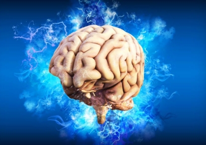 "50대? 노화 아닌 안정기"…평생 5번 변곡점 인간의 뇌, 이 나이에 '확' 달라진다