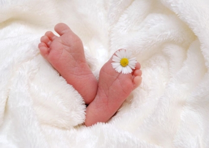 '띵동~' 박스에 담긴 작은 생명…성탄 이브, 결국 엄마는 다시 데리고 갔다