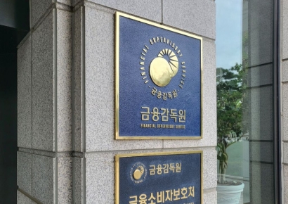 금감원 "보험업권 IFRS17 안정화 위해 공동협의체 운영"