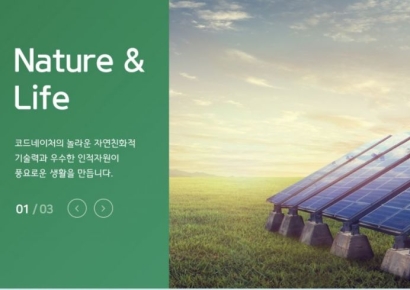 코드네이처, 매출채권 70% 손실 처리… 계속기업 ‘불확실’②[기로의 상장사]