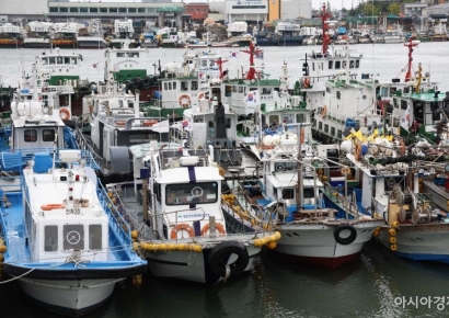 '어선 감척 지원금' 현실화…해수부 "연근해어업 구조개선 촉진"