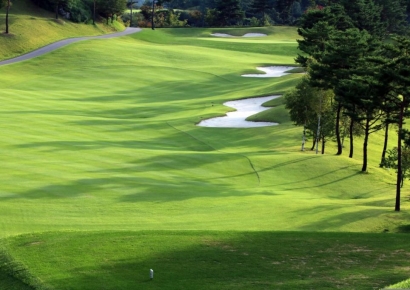 "골프장 가까이 살수록 '이 질병' 걸릴 확률 126% 높아져"