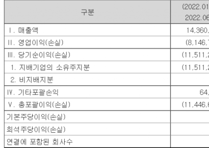 엔지켐생명과학, 대규모 유증 이후 '후유증'