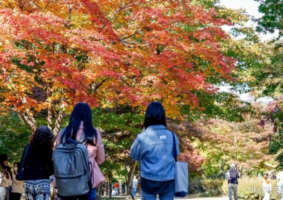 "20만원 쓰면 10만원 돌려준다?"…정부가 또 꺼낸 '파격 카드'[혜택의 정석]