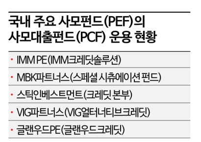 [트랩갇힌PE]②'양날의 검' 사모대출‥사각지대서 '쉐도우뱅킹'化 우려