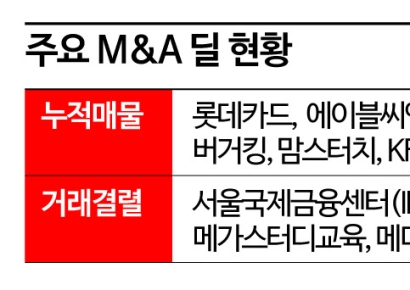 [트랩갇힌PE]①'바이아웃 실종' 매물은 쏟아지는데 살 사람이 없다