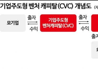 "李대통령, 금산분리 완화 검토…지주사 CVC 규제완화 기대"