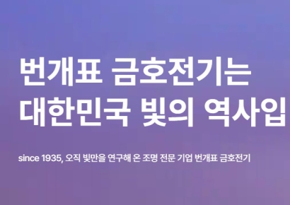 [CB대란]금호전기, ‘無활용 CB’ 210억 재매입… 승계 도구로 활용할까