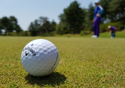 "마라톤 뛰는데 갑자기 뻥"…골프공에 얼굴 맞은 참가자들