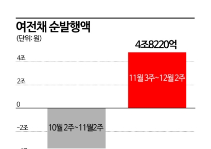 [채권시장 진단]②캐피탈채 양극화 … 금융지주 계열만 발행
