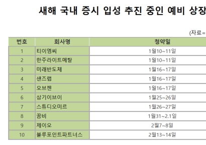 새해 증시 새내기 성패, 전기차 전망에 좌우