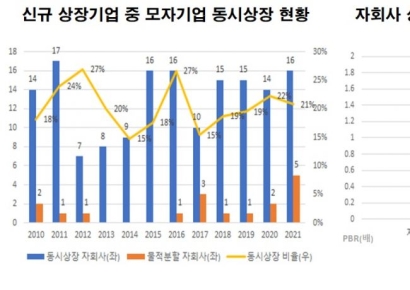 상장사의 ‘쪼개기 상장’ 재발 막으려면…