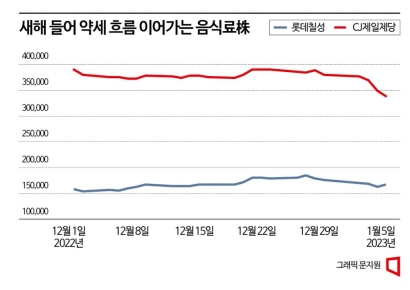 12월 나홀로 올랐던 음식료품株, 1월 들어 ‘비실’
