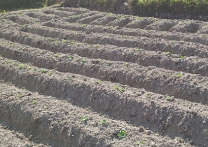 그린랩스파이낸셜 ‘농장경영솔루션’ 해외로…“성공신화 쓴다”