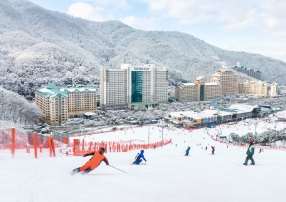 국내 최대 규모 눈 마을로 초대…'비발디파크 스키장' 개장