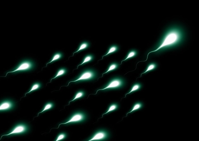 "성욕은 그대로"…정자만 멈추는 '남성 피임' 가능성 확인 